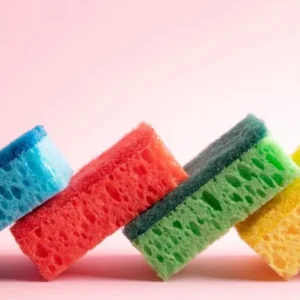 Esponjas